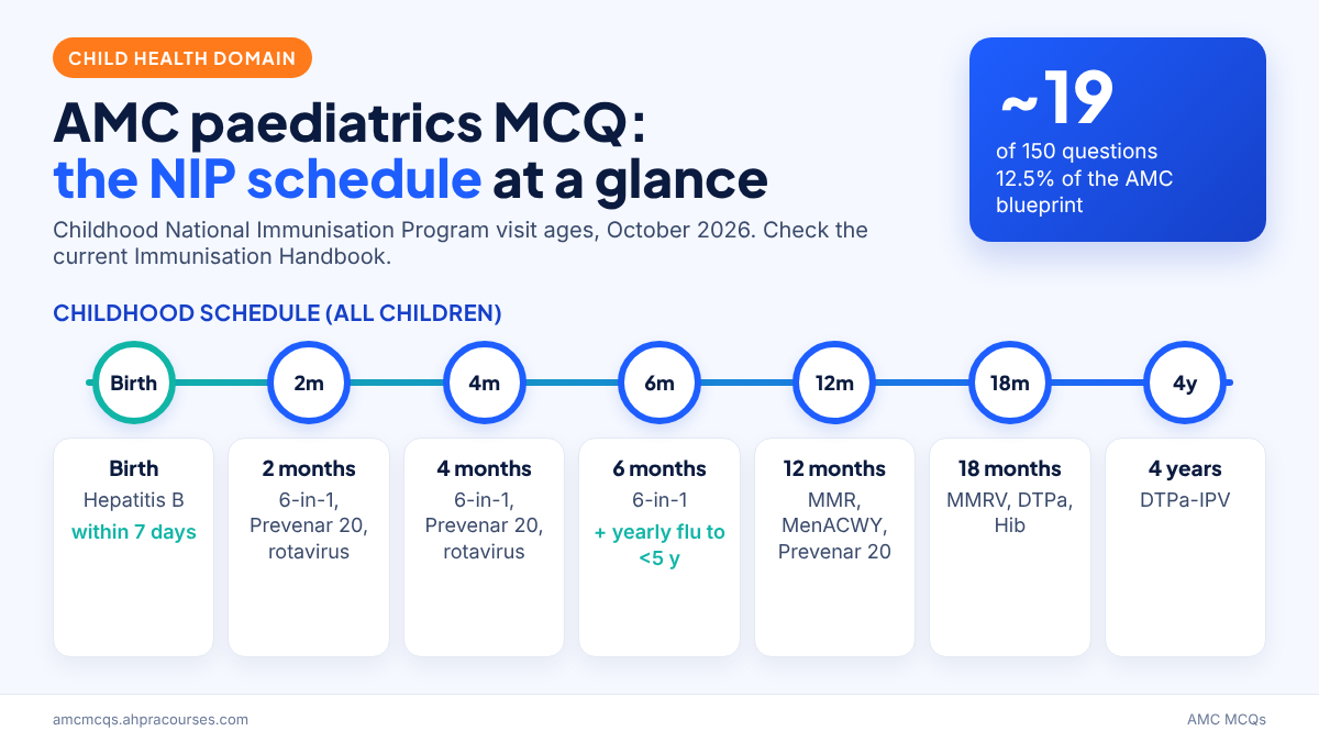 AMC paediatrics MCQ revision infographic showing child health blueprint weight and National Immunisation Program schedule milestones